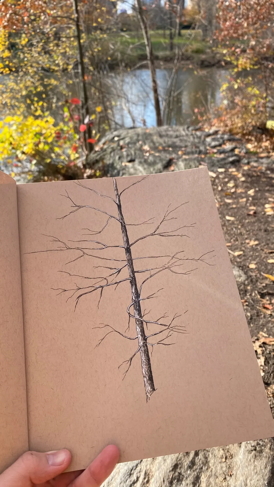 central-park-autumn-02.jpg