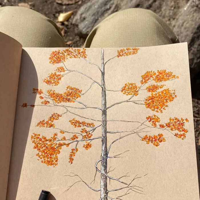 central-park-autumn-03-orange-leaves.jpg