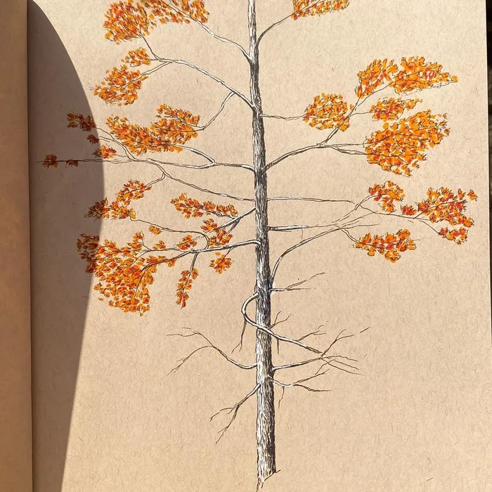 kraft-autumn-01.jpg