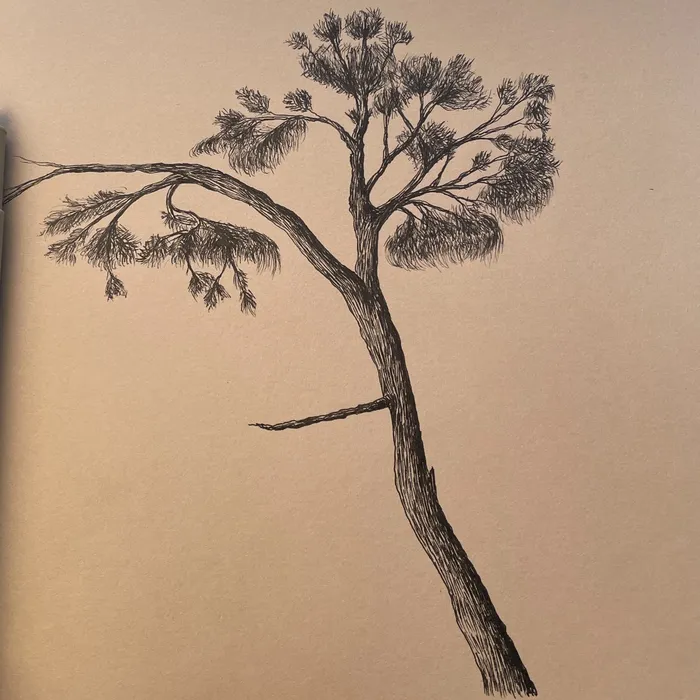 kraft-pine-01.jpg