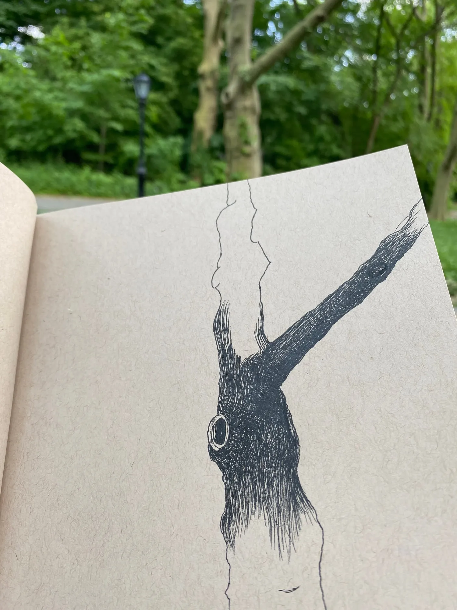 summer-brush-01.jpg