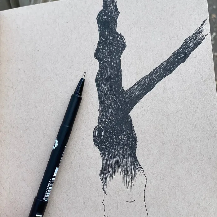summer-brush-02.jpg
